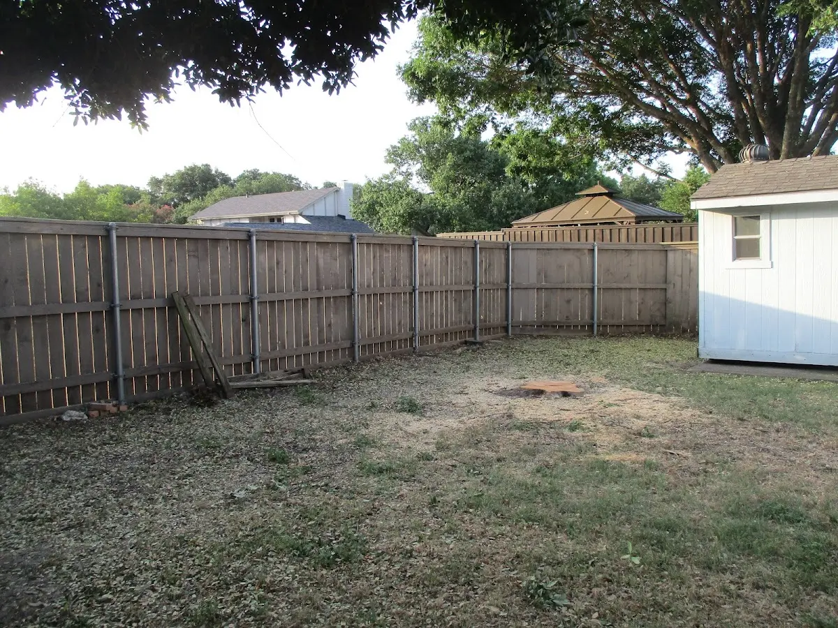 Cleared yard after professional tree removal in Hebbronville